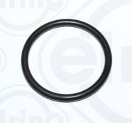 027.480 ELRING - Uszczelka Rury Wodnej Citroen Jumper 2.2 06-