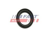 FT32483 FAST - Reperaturka Zacisku Hamulcowego Daily 00-