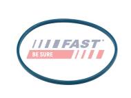 FT48504 FAST - Uszczelka Pompy I Czujnika Paliwa Ducato