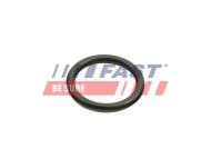 FT48940 FAST - Uszczelka Oring Chłodnicy Oleju Ducato 