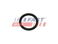 FT50601 FAST - Uszczelka Zaworu Egr Fiat Ducato 14- 2.0