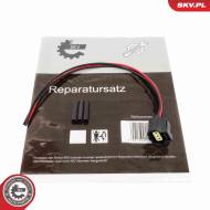 96SKV279 SKV - wtyczka alternatora FORD C-max Ecosport Fiesta V VI Focus C-max Focus II III Fus